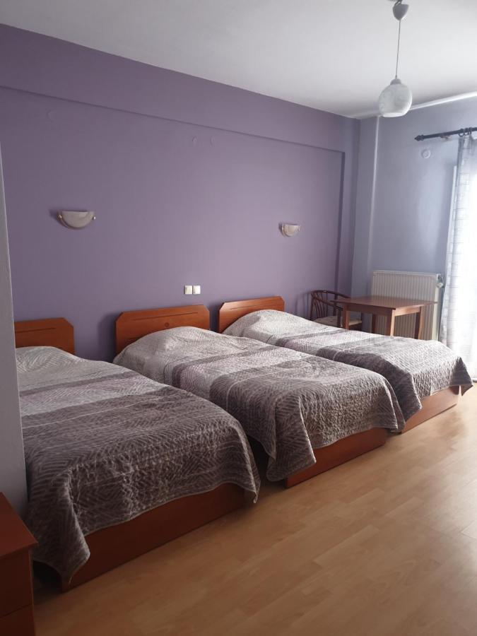 Krystal Hotel Krystallopigi Luaran gambar